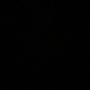 No longer selling anything